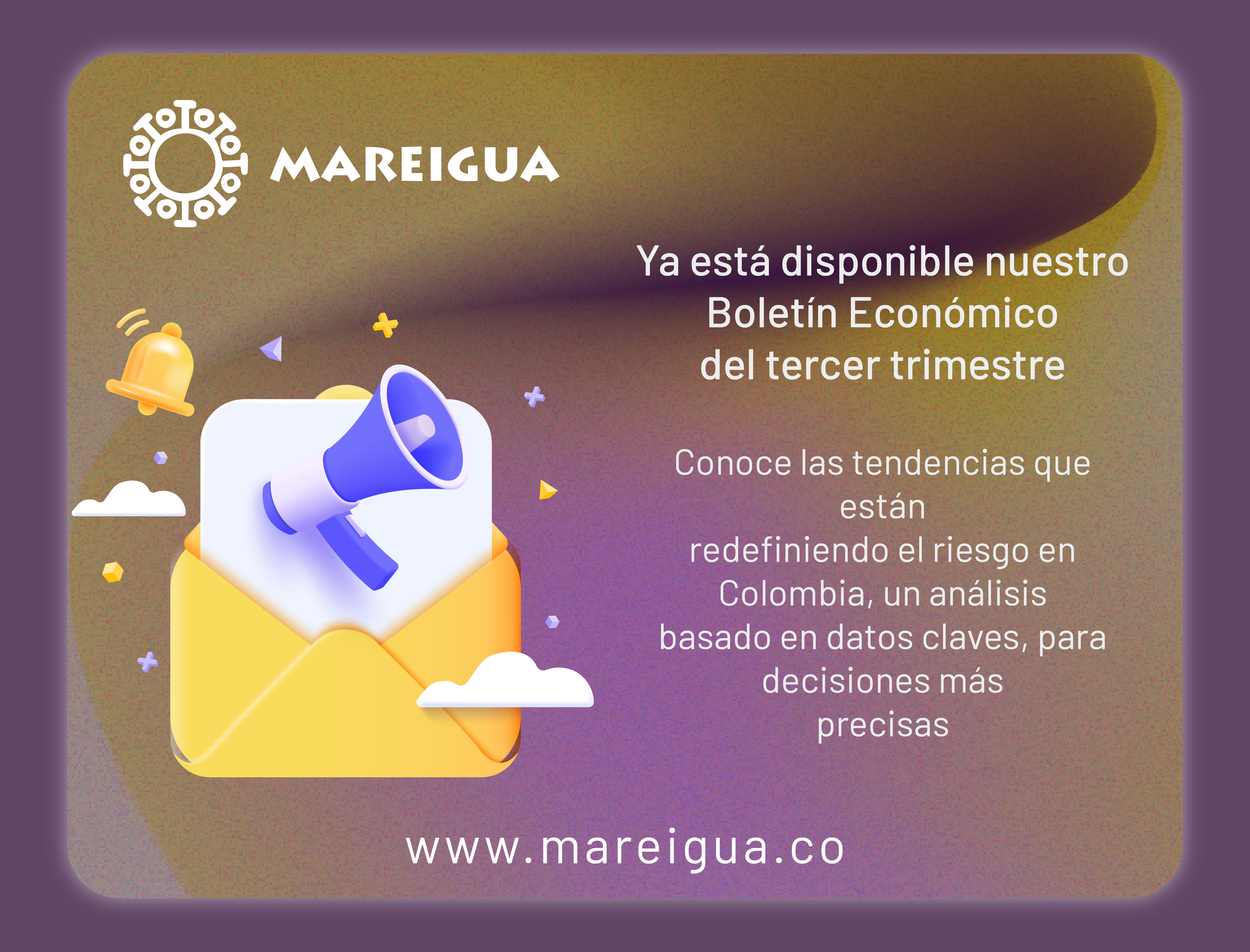 Boletin Web